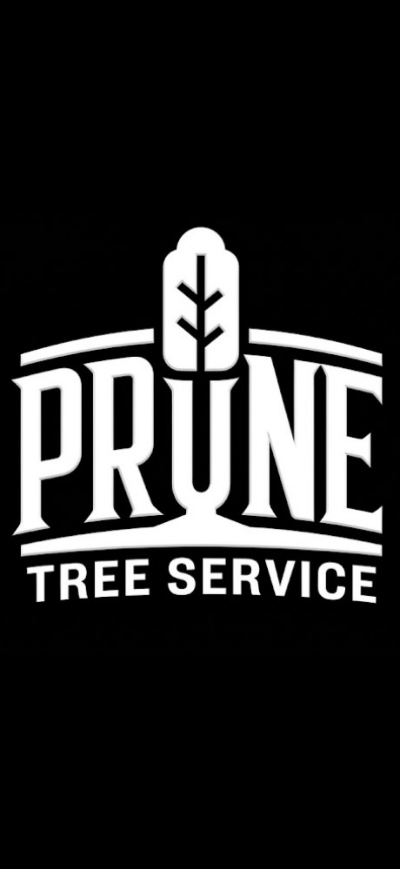 Prune Tree Service